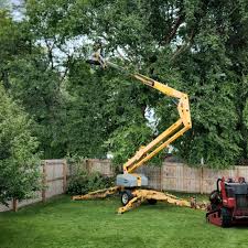 Lawn Pest Prevention in Mckeesport, PA